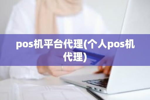 pos机平台代理(个人pos机代理)
