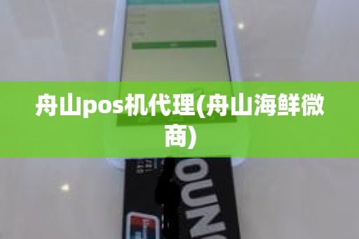 舟山pos机代理(舟山海鲜微商)
