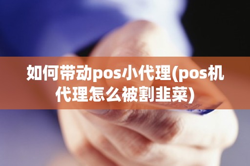 如何带动pos小代理(pos机代理怎么被割韭菜)