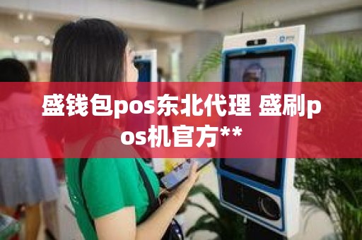 盛钱包pos东北代理 盛刷pos机官方**