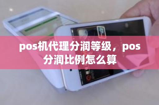 pos机代理分润等级，pos分润比例怎么算