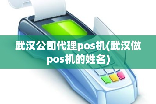 武汉公司代理pos机(武汉做pos机的姓名)