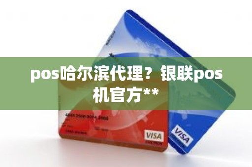 pos哈尔滨代理？银联pos机官方**