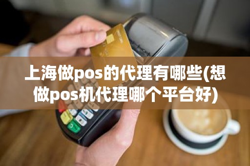 上海做pos的代理有哪些(想做pos机代理哪个平台好)