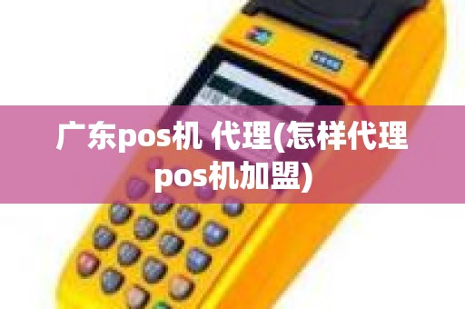 广东pos机 代理(怎样代理pos机加盟)