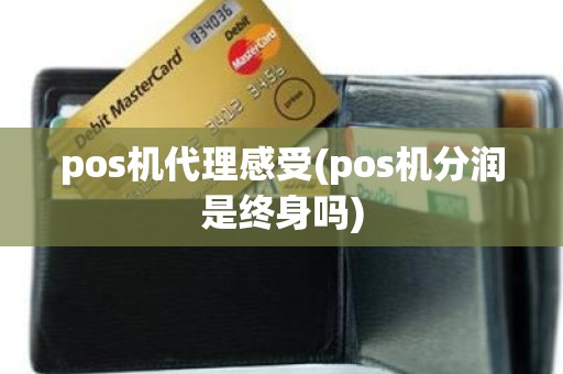 pos机代理感受(pos机分润是终身吗)