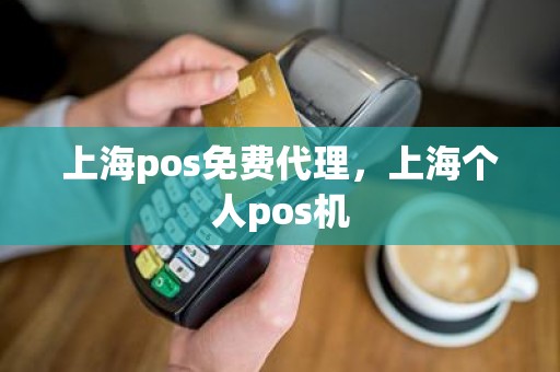 上海pos免费代理，上海个人pos机