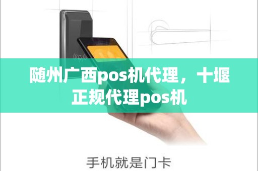 随州广西pos机代理，十堰正规代理pos机