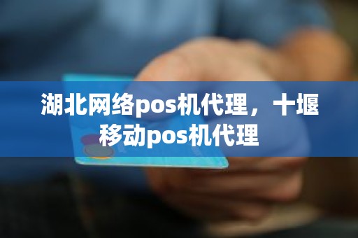 湖北网络pos机代理，十堰移动pos机代理