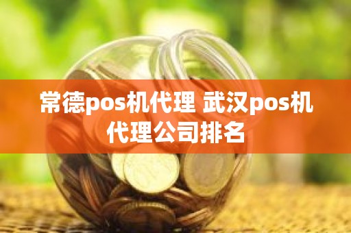 常德pos机代理 武汉pos机代理公司排名