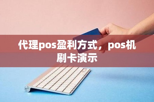 代理pos盈利方式，pos机刷卡演示