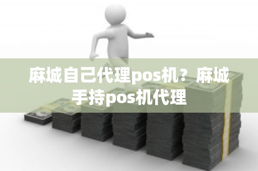 麻城自己代理pos机？麻城手持pos机代理