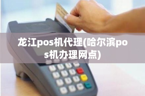 龙江pos机代理(哈尔滨pos机办理网点)