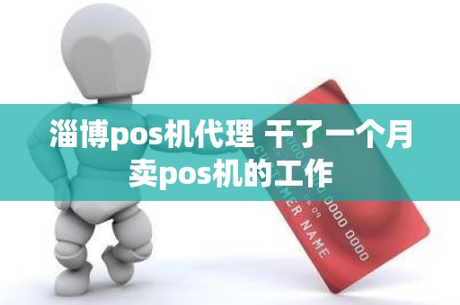 淄博pos机代理 干了一个月卖pos机的工作
