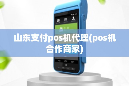 山东支付pos机代理(pos机合作商家)