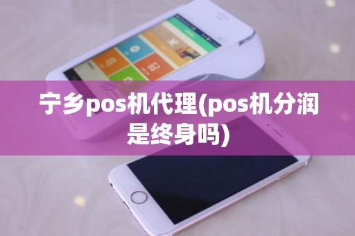 宁乡pos机代理(pos机分润是终身吗)