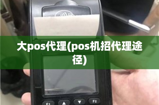 大pos代理(pos机招代理途径)