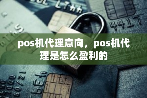 pos机代理意向，pos机代理是怎么盈利的