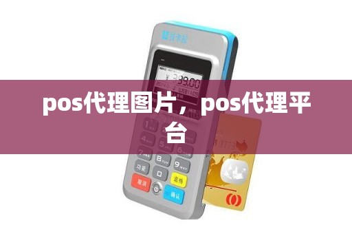 pos代理图片，pos代理平台