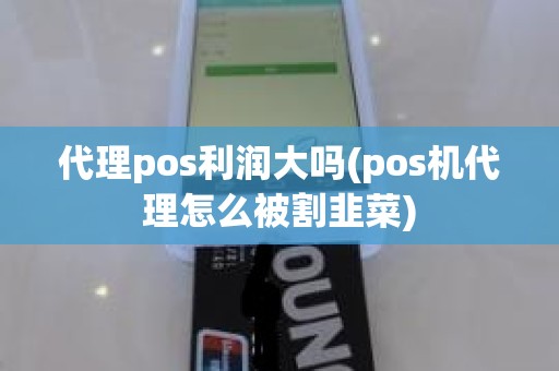 代理pos利润大吗(pos机代理怎么被割韭菜)