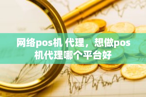 网络pos机 代理，想做pos机代理哪个平台好