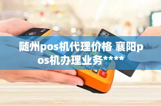 随州pos机代理价格 襄阳pos机办理业务****