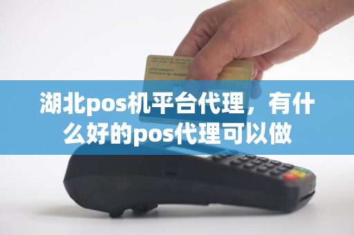 湖北pos机平台代理，有什么好的pos代理可以做