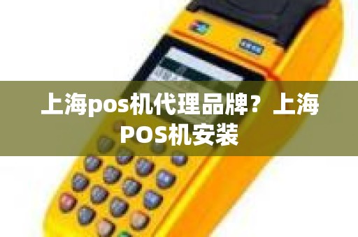 上海pos机代理品牌？上海POS机安装