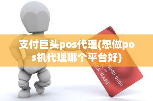 支付巨头pos代理(想做pos机代理哪个平台好)