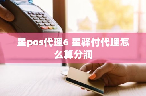 星pos代理6 星驿付代理怎么算分润