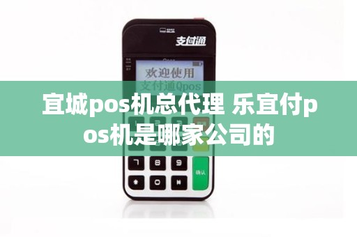 宜城pos机总代理 乐宜付pos机是哪家公司的