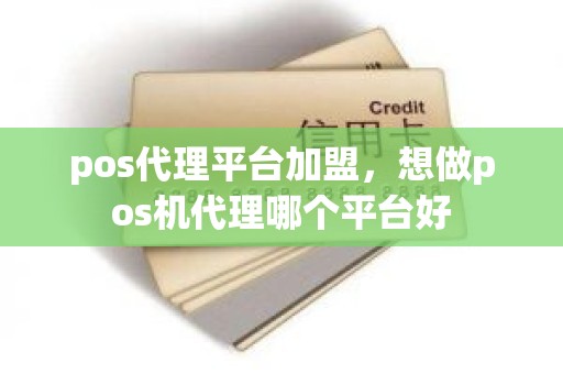 pos代理平台加盟，想做pos机代理哪个平台好
