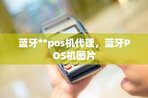 蓝牙**pos机代理，蓝牙POS机图片