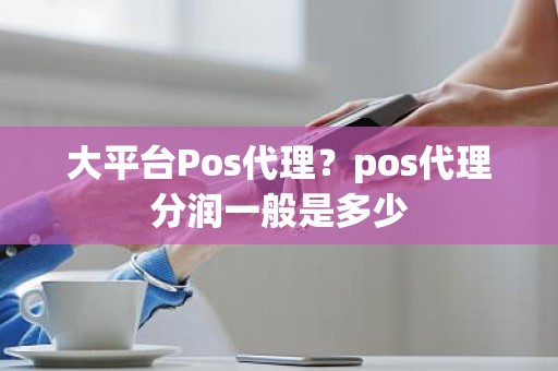 大平台Pos代理？pos代理分润一般是多少