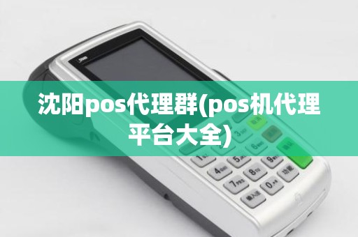 沈阳pos代理群(pos机代理平台大全)