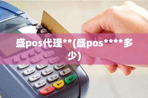 盛pos代理**(盛pos****多少)