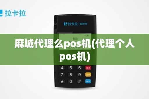 麻城代理么pos机(代理个人pos机)