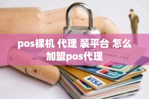 pos裸机 代理 装平台 怎么加盟pos代理