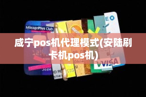 咸宁pos机代理模式(安陆刷卡机pos机)