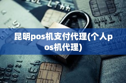 昆明pos机支付代理(个人pos机代理)