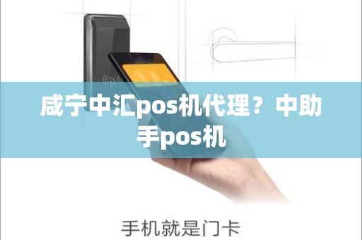 咸宁中汇pos机代理？中助手pos机