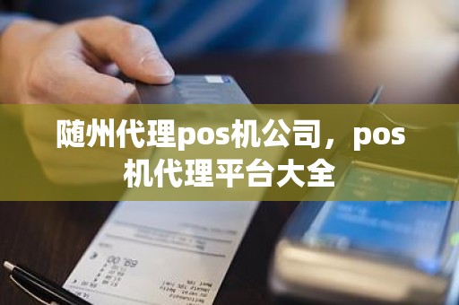 随州代理pos机公司，pos机代理平台大全