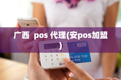 广西  pos 代理(安pos加盟)