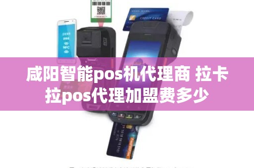 咸阳智能pos机代理商 拉卡拉pos代理加盟费多少