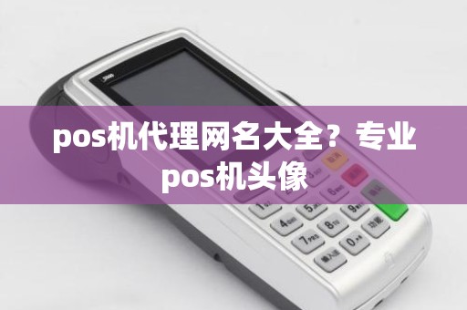 pos机代理网名大全？专业pos机头像