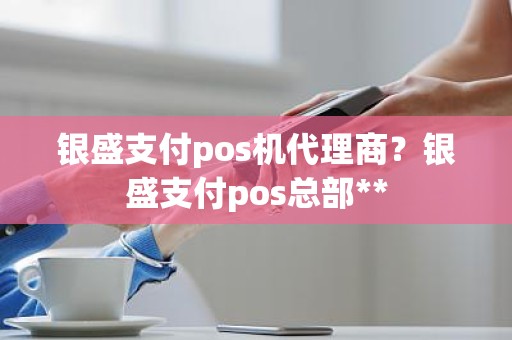 银盛支付pos机代理商？银盛支付pos总部**