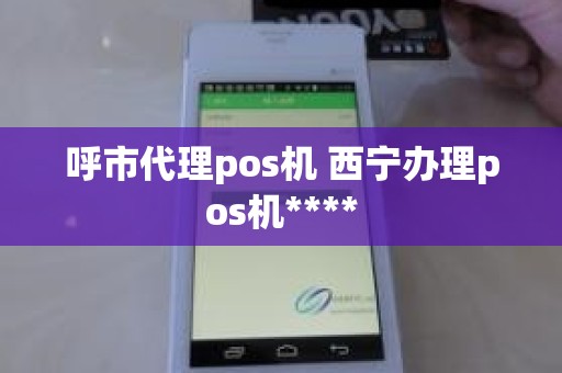 呼市代理pos机 西宁办理pos机****