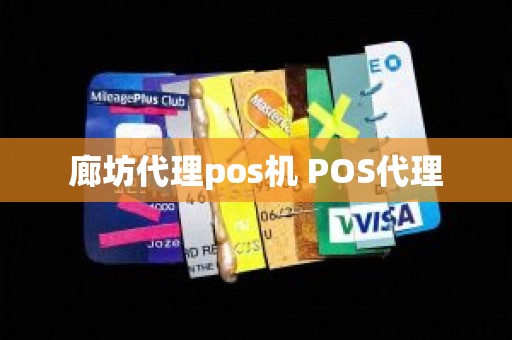 廊坊代理pos机 POS代理