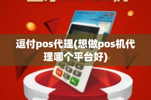 逗付pos代理(想做pos机代理哪个平台好)