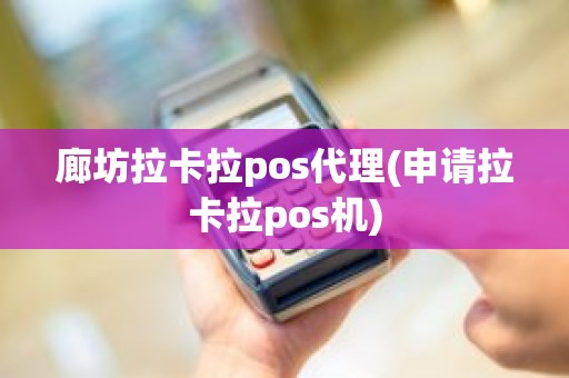 廊坊拉卡拉pos代理(申请拉卡拉pos机)